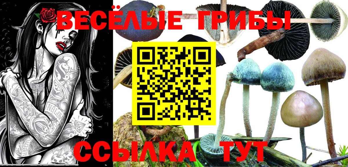 купить наркоту  Галлюциногенные грибы прущие грибы  Вход с VPN  Малоярославец 